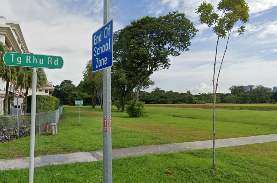 URA launches Dairy Farm, Tanjong Rhu and Dover housing sites for sale