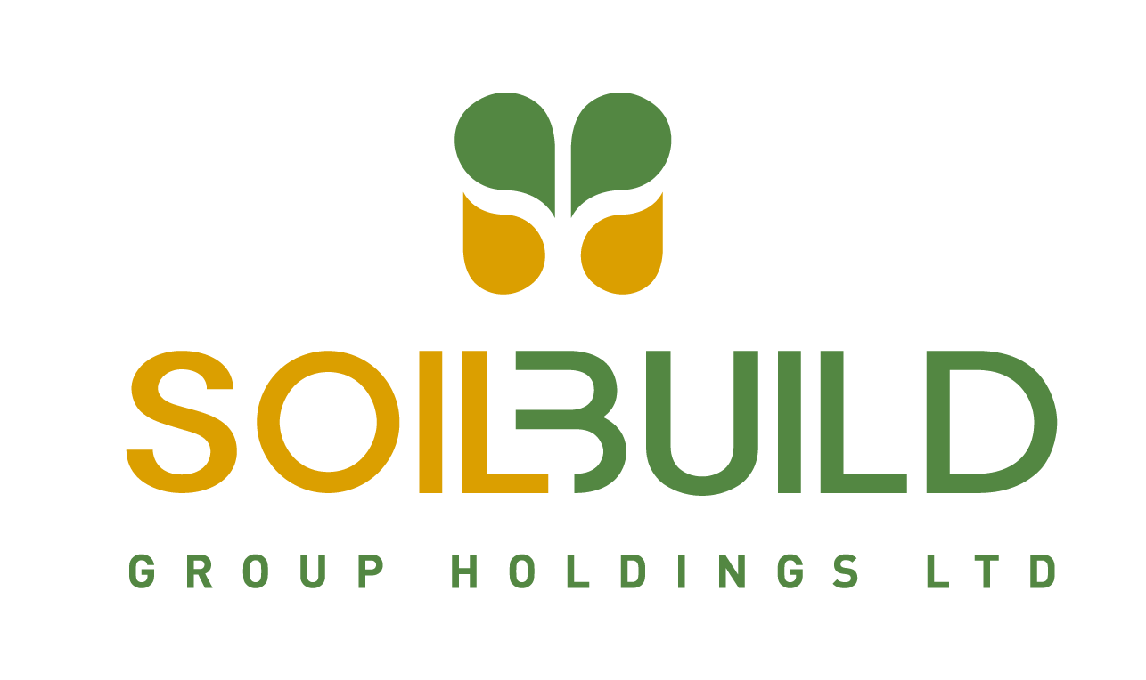 developer logo