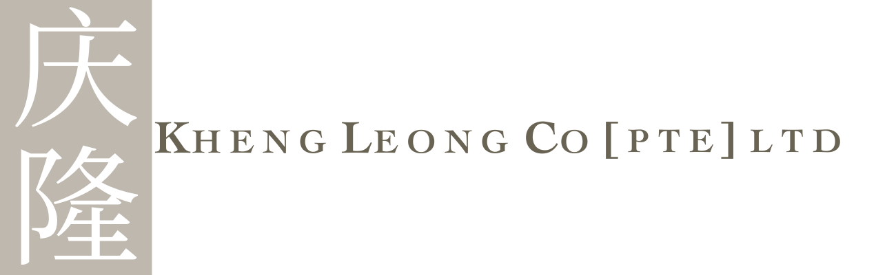 developer logo